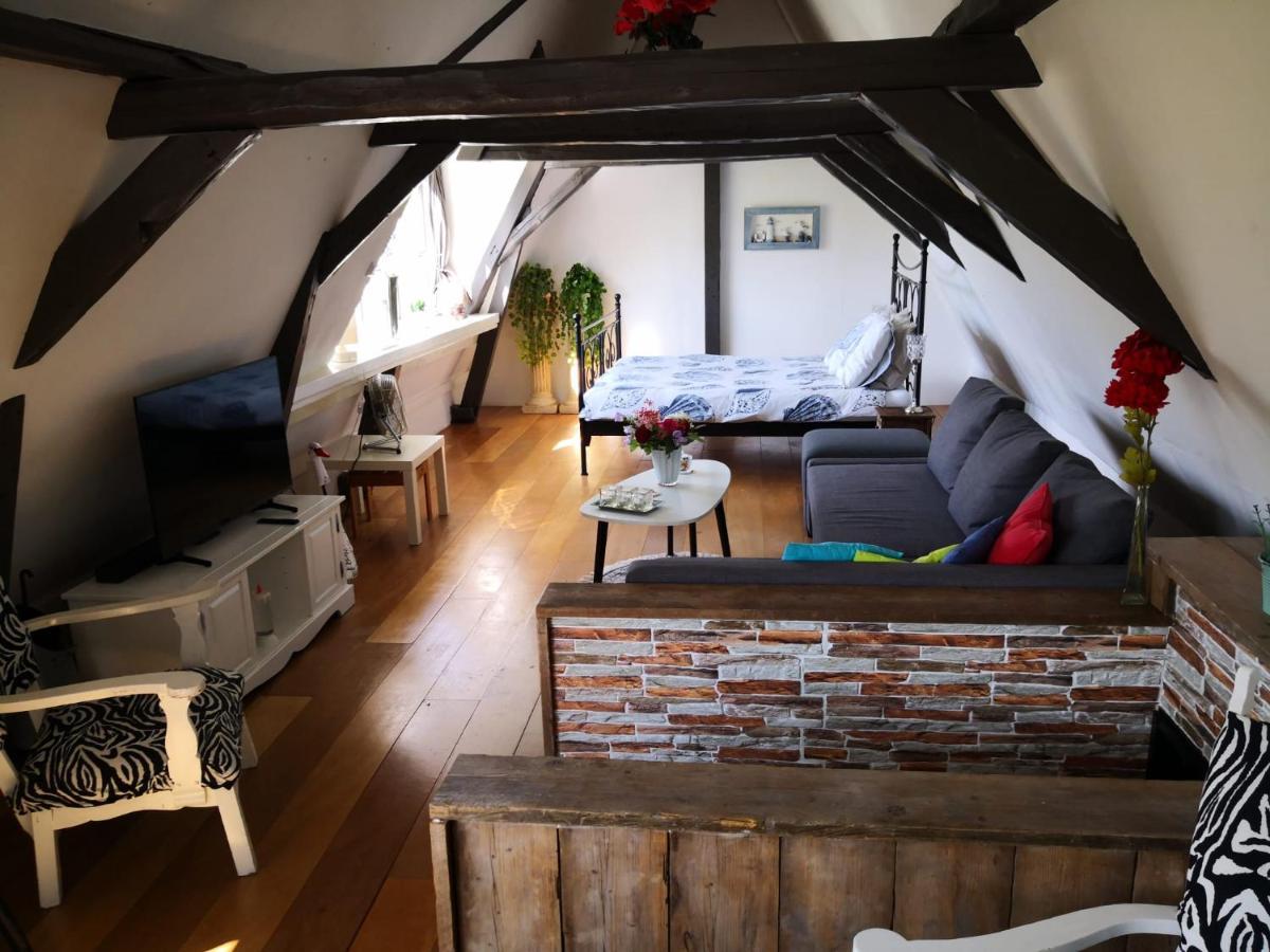 Bed and Breakfast Wittezwaan Harlingen Exteriér fotografie